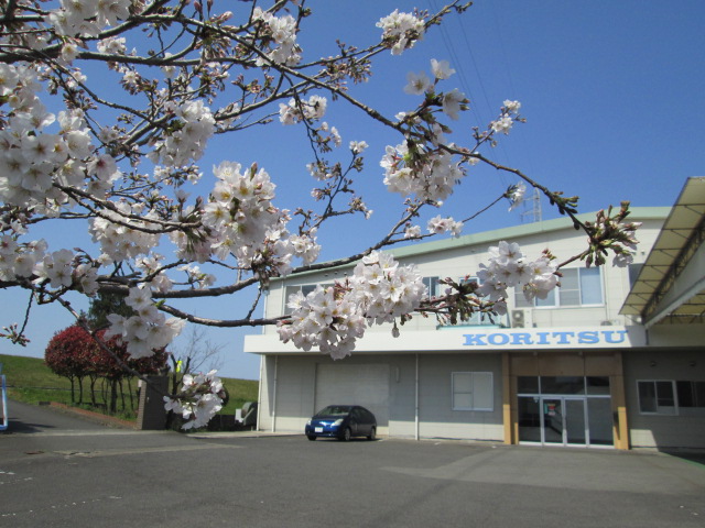 スライドの画像1